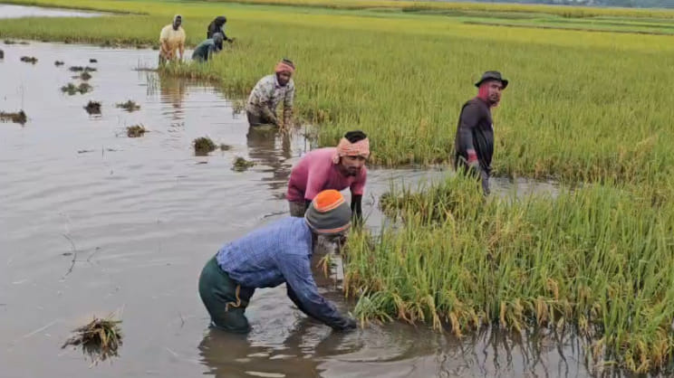 Haor Floods