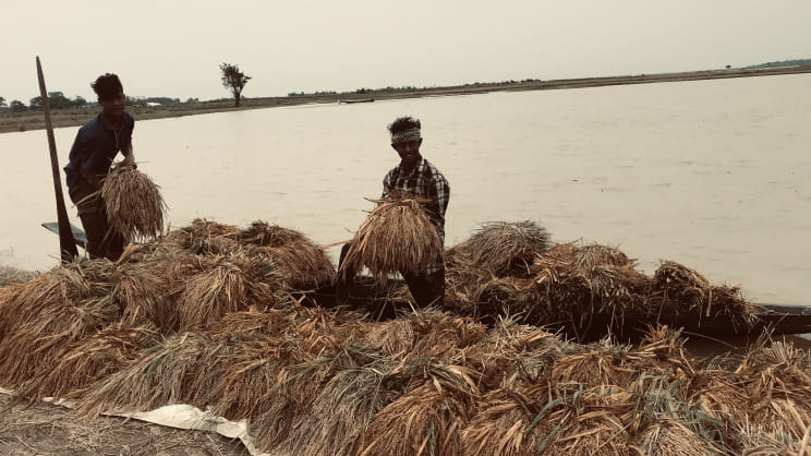 Haor Crisis