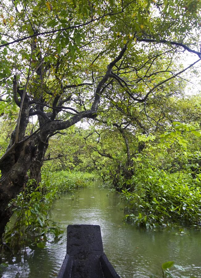 Picture-perfect landscapes in Bangladesh: 7 spots every photographer must visit