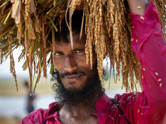 Haor crisis is becoming a national crisis