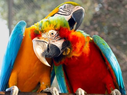  Gazipur Tourist Spots