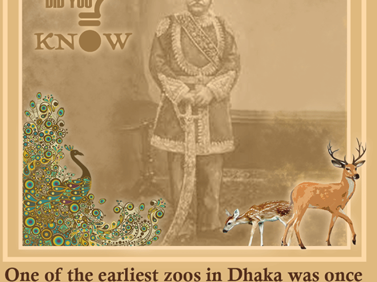 did_you_know-ahsanullah_zoo_in.png