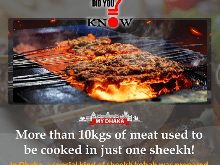 did_you_know-sheekh_kebab-tdsi.png