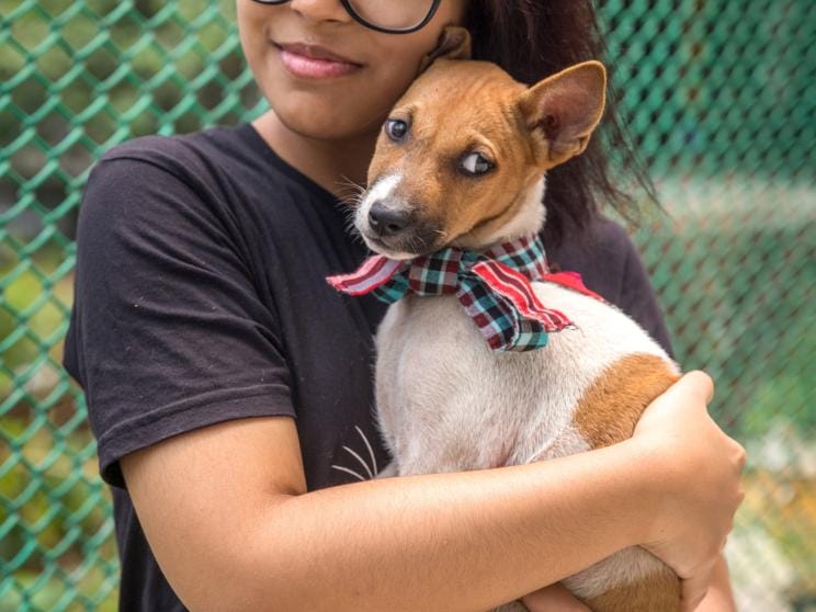 owning a dog in Dhaka