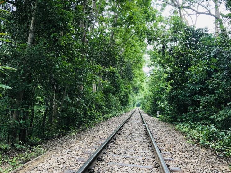 Picture-perfect landscapes in Bangladesh: 7 spots every photographer must visit