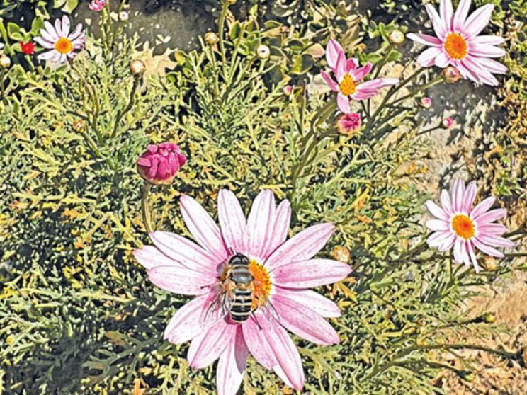 trekking routes in the Indian and Nepal Himalayas