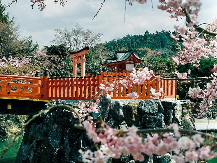 Japan    5 must-visit places in the world during spring season