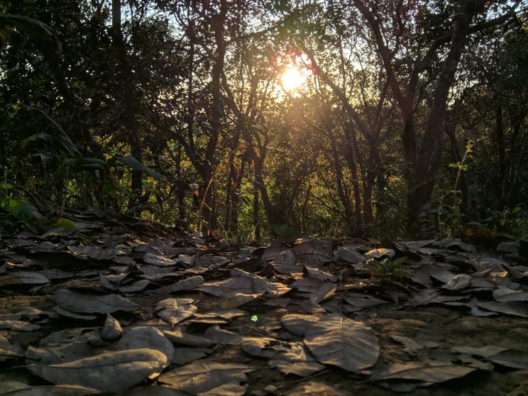 The rise of domestic tourism: Challenges and opportunities