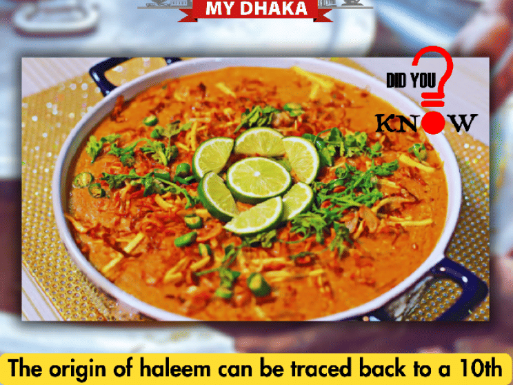dhaka_haleem_i.png