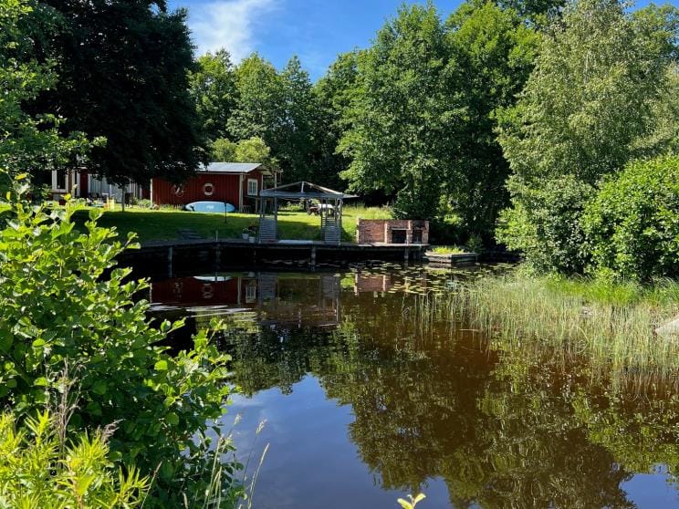 Embracing Swedish Midsummer: A Bangladeshi's tale of joy and belonging