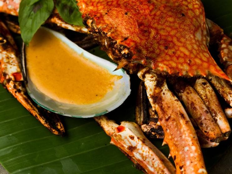 crab_salad      Catch of the day: Seafood recipes you will love