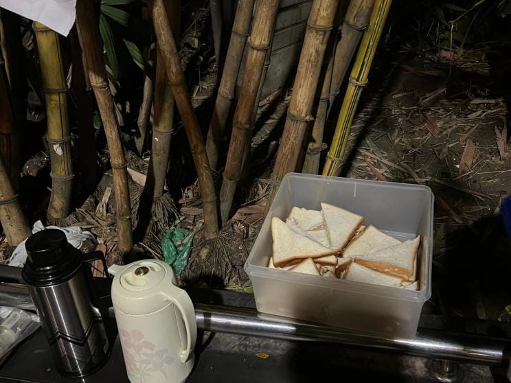 Bring back the “para culture” please!