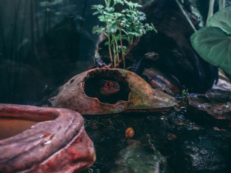 Malaysia  5 best water zoos in Asia you thought never existed