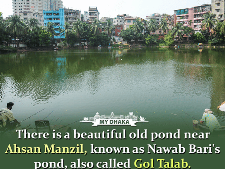 the_daily_star_dhaka_nawab_bari_pond_gol_talab_i.png