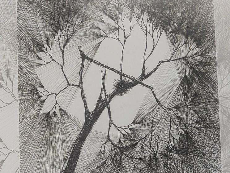 Broken Nest by Habibur Rahman.jpg