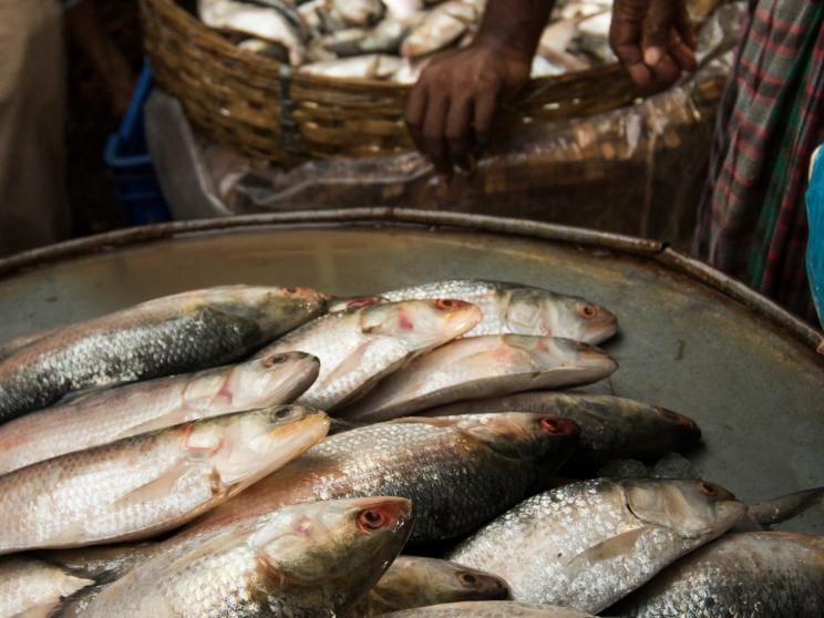 Rethink your food habits for affordable and healthy options