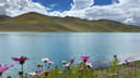 Bangladeshi Traveler Tibet Journey