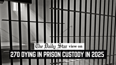 270 dying in prison custody in 2025 .png