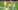 AFP__20260226__994A7KD__v1__MidRes__FblEurC3NottinghamForestFenerbahce (1).jpg