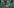 Monira Photo 2.png