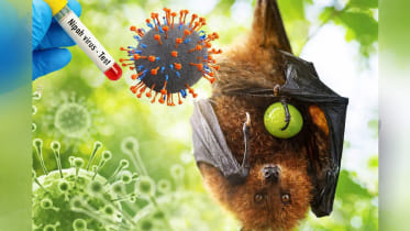 Nipah virus signs and symptoms