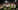 AFP__20260312__A337779__v1__MidRes__FblEurC3NottinghamForestMidtjylland (1).jpg