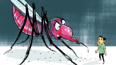 dengue-1.jpg