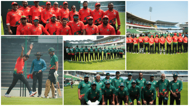 photo-collage.png (63).png