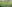 tea-cultivation.jpg