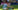 AFP__20260425__A8YG23D__v1__MidRes__776483534.jpg