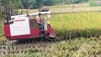 Farmers.jpg
