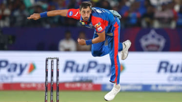 Starc.JPG