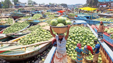 Watermelon-1.jpg