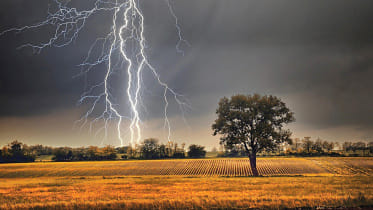 lightning-new.jpg