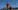 AFP__20260524__B3VW6WL__v2__MidRes__FblWc2026JorTraining.jpg