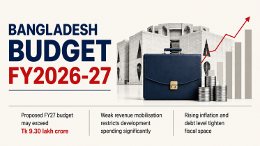 Budget infograph.png
