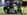 Ferland Mendy.jpg