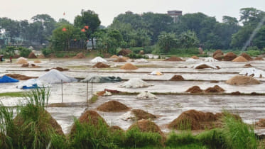 Kishoreganj Paady piled T-13.jpg