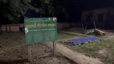 Ramisa_Grave.jpeg