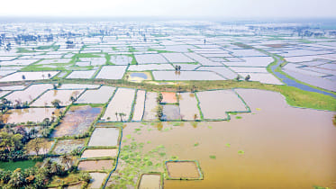 Waterlogging.jpg