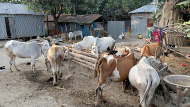 eid_ul_azha.jpg