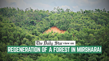 EDITORIAL_2__Regeneration_of_a_forest_in_Mirsarai.jpg