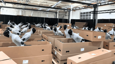 Figure AI robot workers