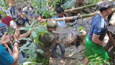 KhanJahanAli_Crocodile.PNG