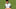 Messi.JPG