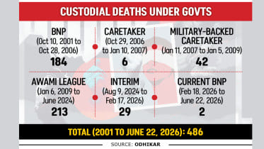 custodial-death-chart.jpg