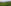 Ed2-Sundarbans.jpg