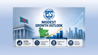 IMF visual.png
