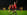 King Kazu .jpg