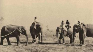 2. Pilkhana area_1880.jpg